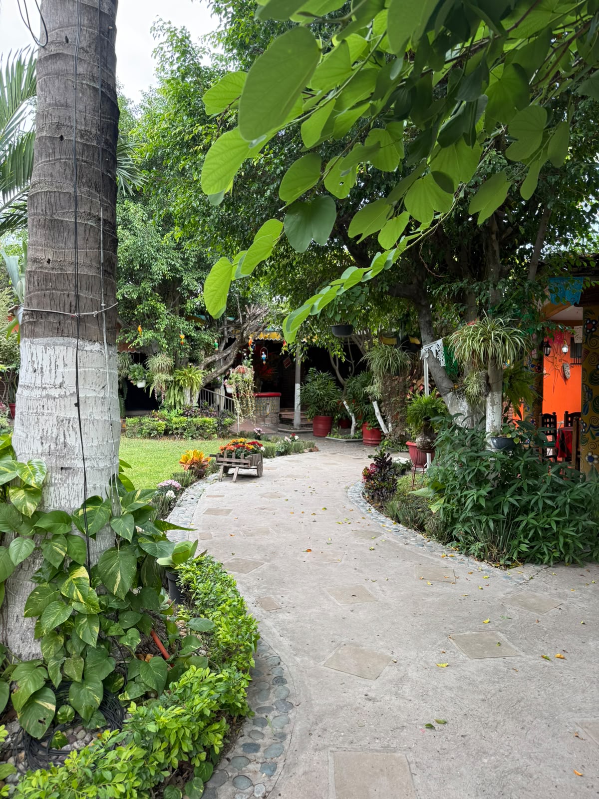 Jardines de Fonda Rosita